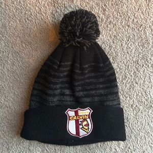 Calvin Knights from Calvin University Beanie!